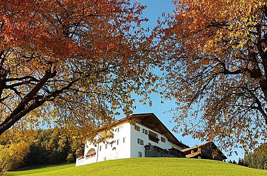 Vikolerhof - Elenco Photo