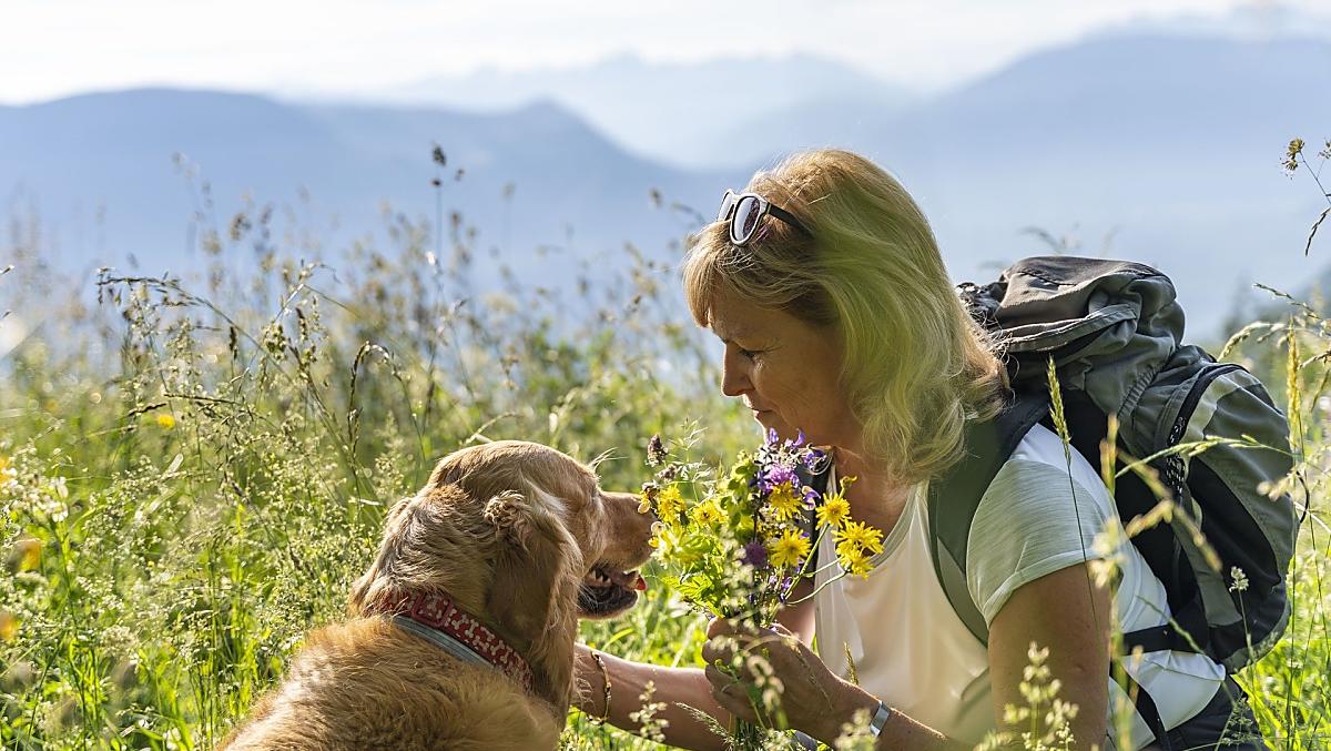 Wandelen met onze golden retriever, de lieveling van alle kinderen