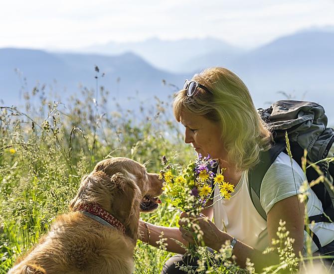 Wandelen met onze golden retriever, de lieveling van alle kinderen