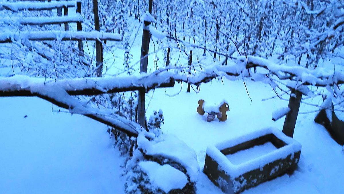 Het heeft gesneeuwd