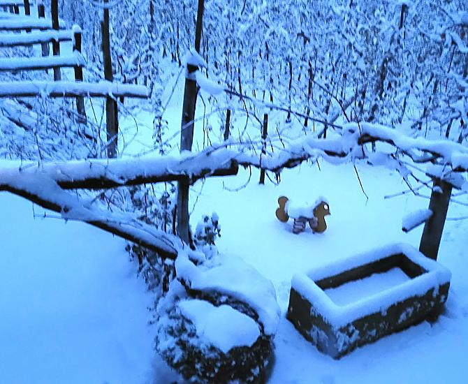 Het heeft gesneeuwd