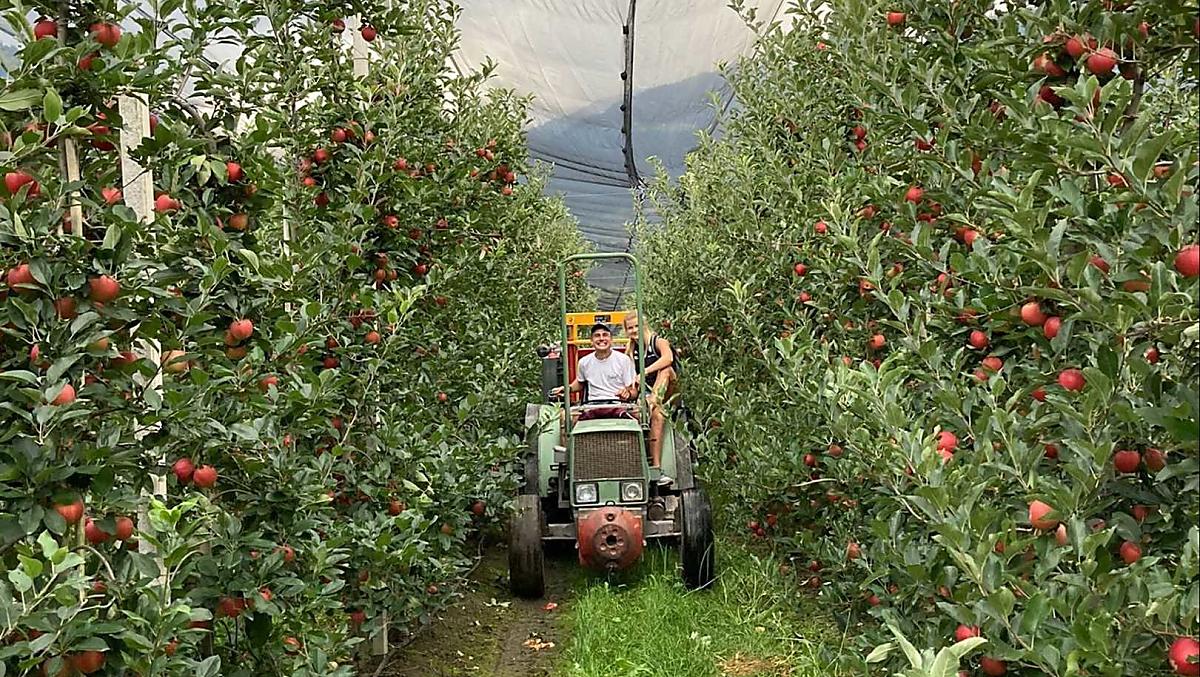 Appeloogst