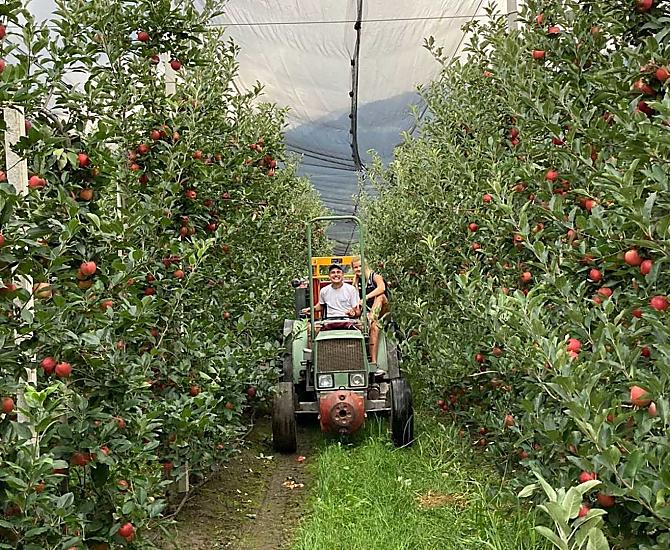 Appeloogst