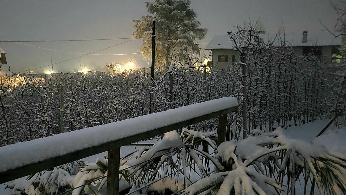 Winterlandschap