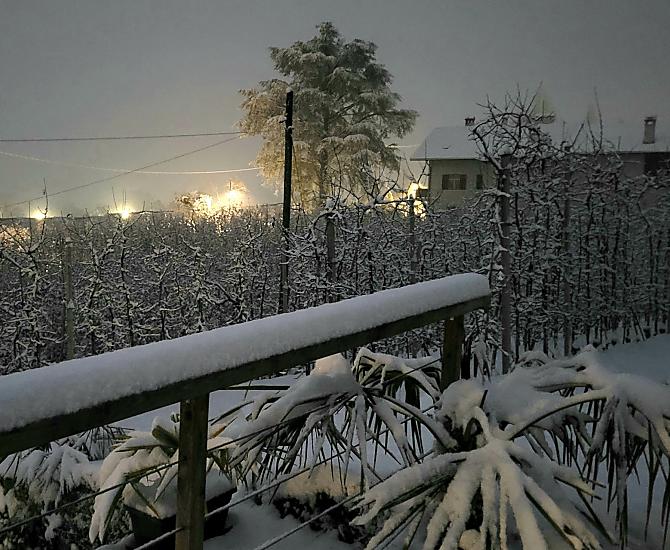 Winterlandschap