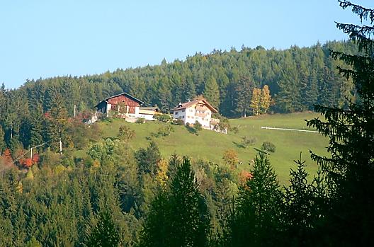 Figisterhof - Elenco Photo