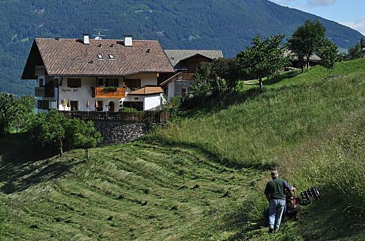 Figisterhof - Elenco Photo