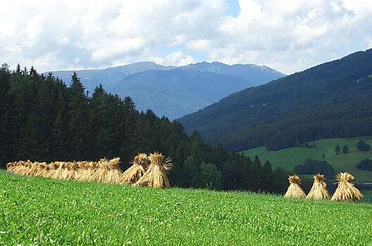 Altmessnerhof - Elenco Photo