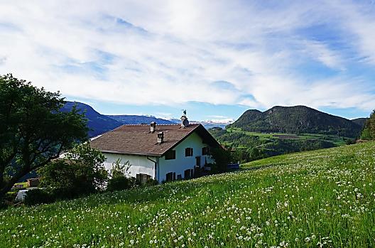 Sattler-Hof - Elenco Photo