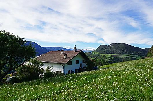 Sattler-Hof - Elenco Photo