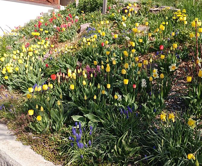 De lente komt in het land