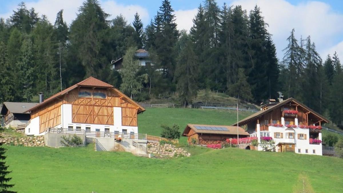 De Untertreidnerhof ligt op 1.350 m in Oberinn am Ritten, omgeven door bossen en weiden met uitzicht op de Dolomieten.