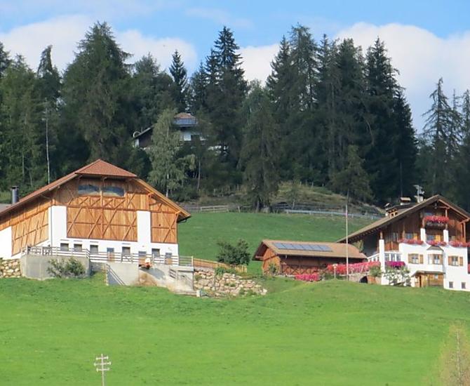 De Untertreidnerhof ligt op 1.350 m in Oberinn am Ritten, omgeven door bossen en weiden met uitzicht op de Dolomieten.
