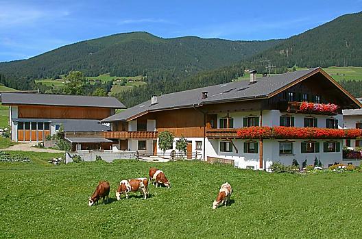 Landhof - Elenco Photo