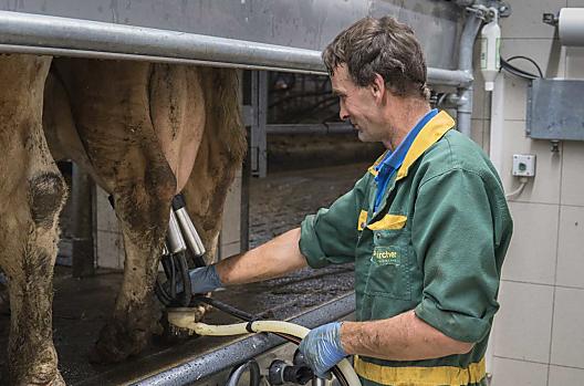 Boer Othmar melkt de koeien 's morgens en 's avonds
