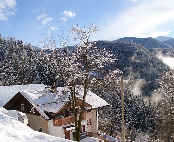 Thalerhof - Galleria fotografica Photo