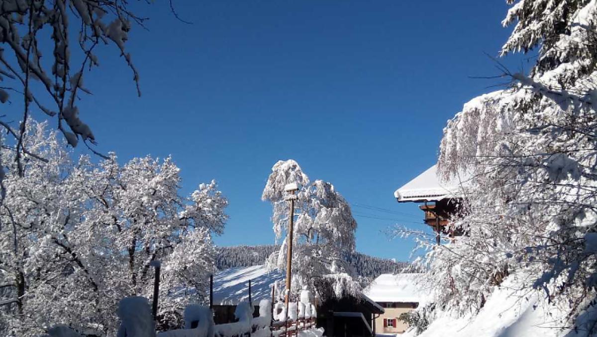 Ondergesneeuwde oprit naar de Thalerhof