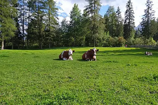 Obersanterhof - Elenco Photo