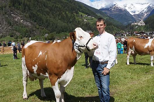 Boer Andreas op een veeshow