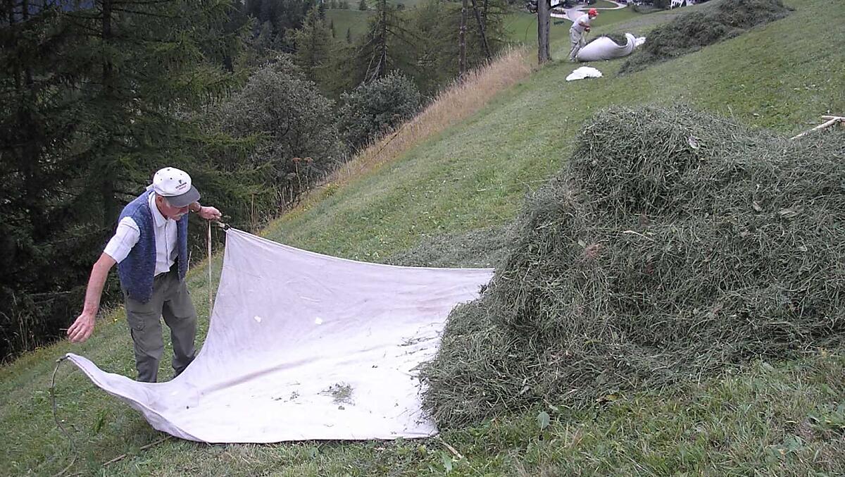 In de zomer is de hooioogst het belangrijkste werk. Iedere boer doet zijn werk met ijver en met vreugde.