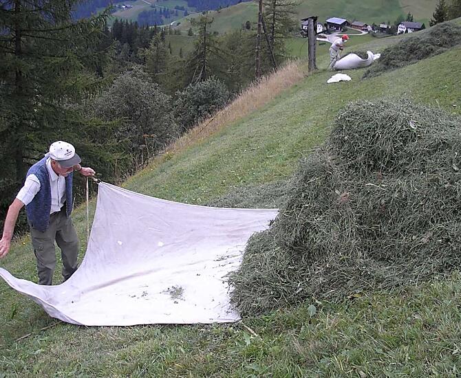 In de zomer is de hooioogst het belangrijkste werk. Iedere boer doet zijn werk met ijver en met vreugde.