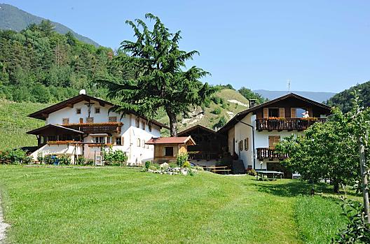 Punterhof - Elenco Photo