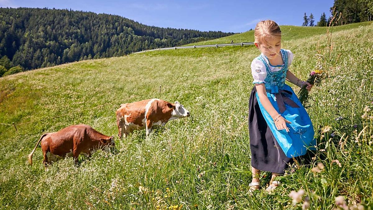 Oberfelsonnerhof - Galleria fotografica Photo