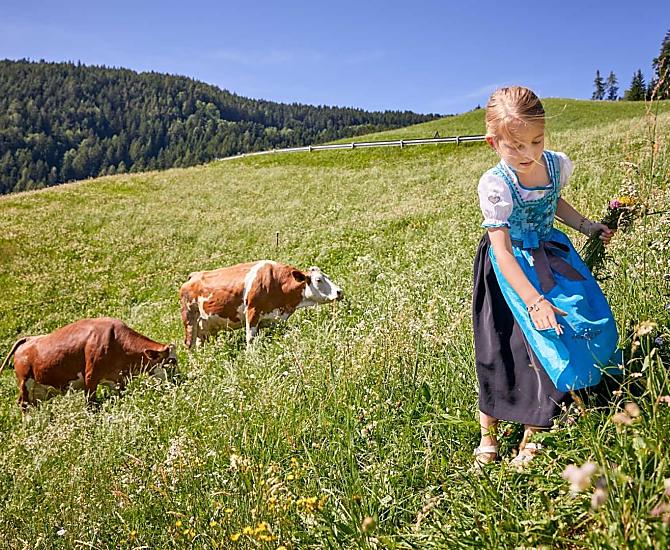Oberfelsonnerhof - Galleria fotografica Photo