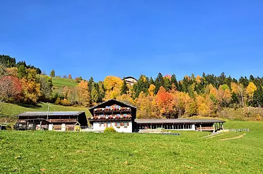Wegscheiderhof - Elenco Photo