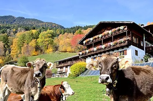 Wegscheiderhof - Elenco Photo