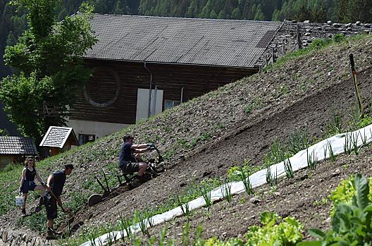 In de lente wordt het land bewerkt. Met de bergploeg worden furrows gemaakt en de aardappelen worden geplant.