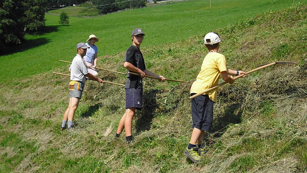 Iedereen helpt mee op de steile weiden.