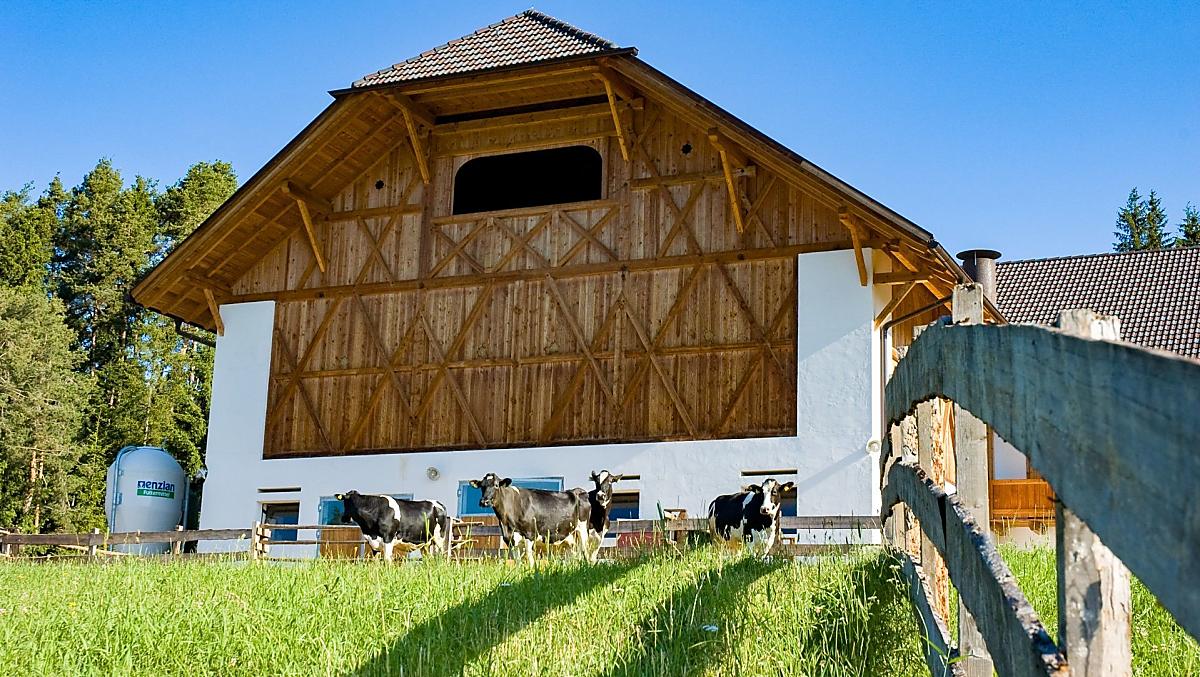 Lanerhof - Galleria fotografica Photo