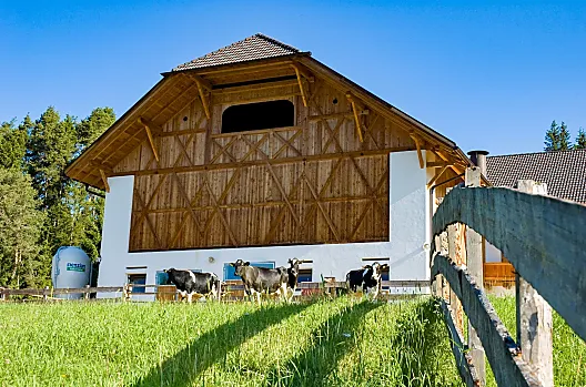 Lanerhof - Elenco Photo