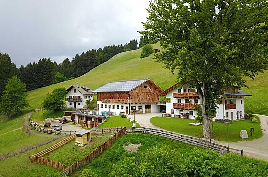 Haubenthal - Elenco Photo