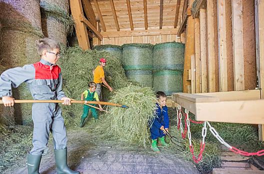 Werk op de boerderij