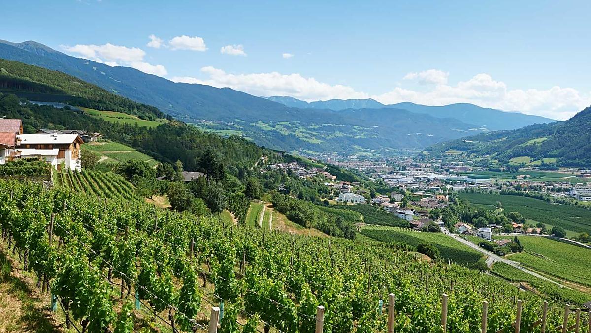 De zonnige Strasserhof, ingebed in wijngaarden en omgeven door bergen. Panorama-uitzicht op Brixen en het Eisacktal.