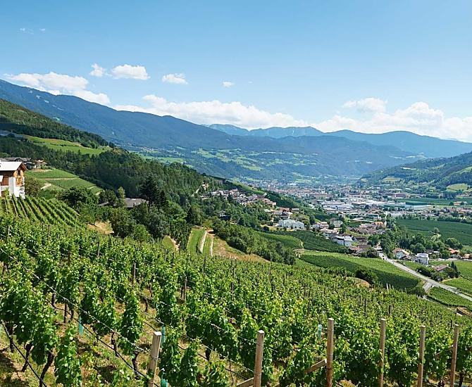 De zonnige Strasserhof, ingebed in wijngaarden en omgeven door bergen. Panorama-uitzicht op Brixen en het Eisacktal.