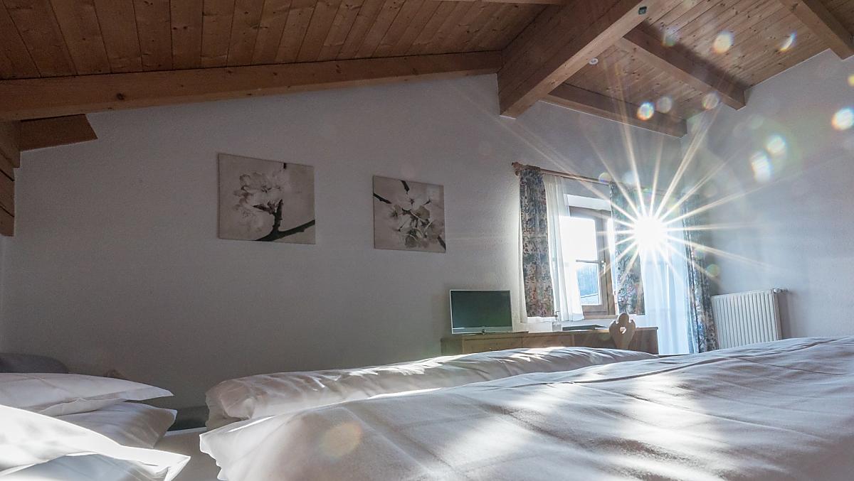 Lichtovergoten kamers met panorama-uitzicht op de wijngaarden en het Eisacktal.