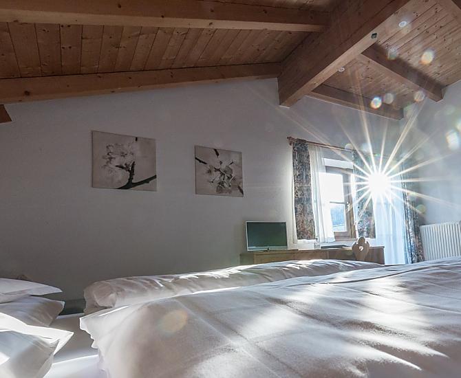 Lichtovergoten kamers met panorama-uitzicht op de wijngaarden en het Eisacktal.