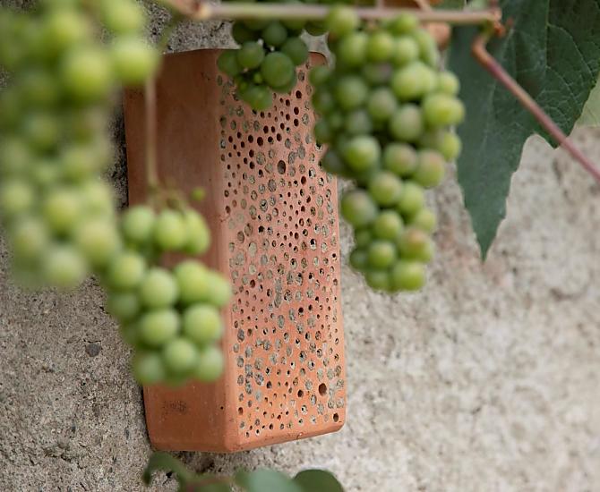 Insectenhotel