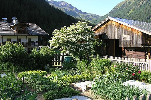 Onze moestuin in de zomer.