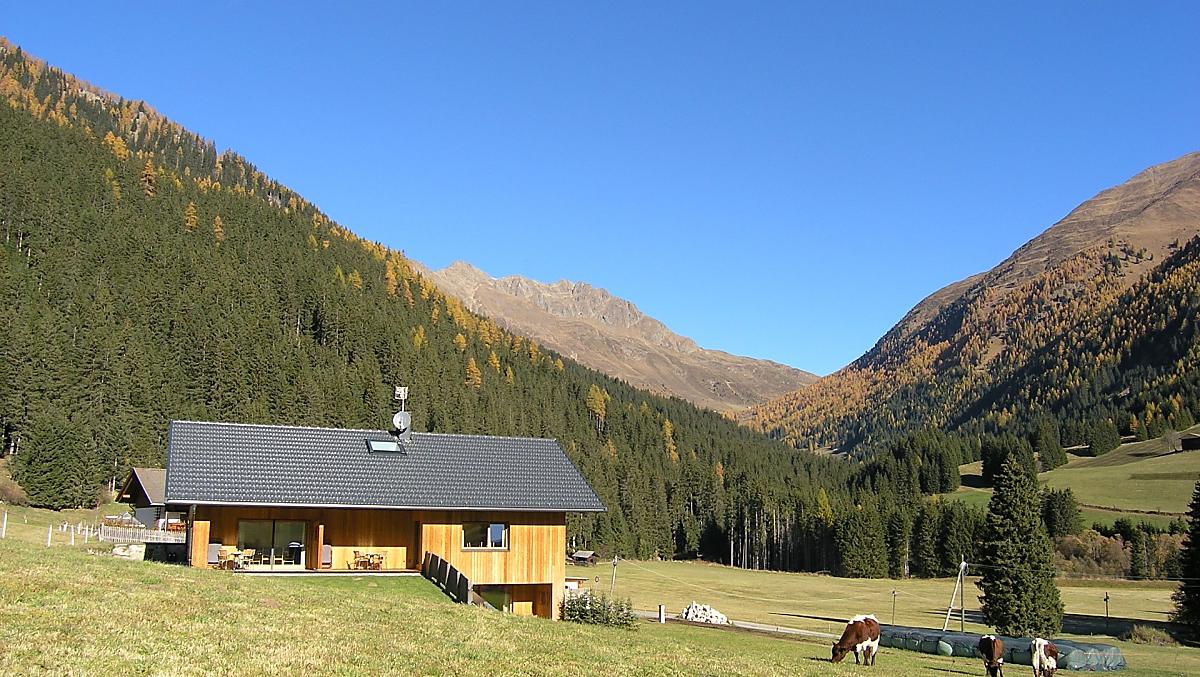 Het vee is terug van de alm en graast het laatste gras weg.