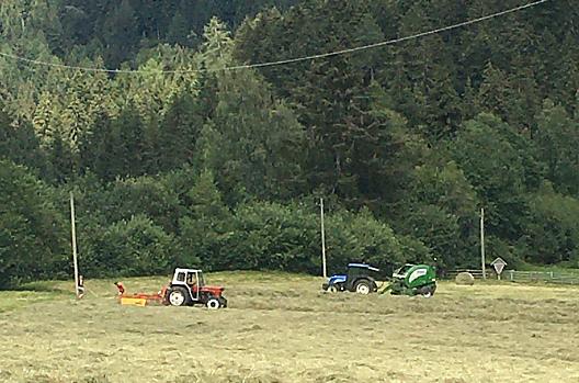 Elke hand is nodig bij het hooien. 5 hectare moet binnengehaald worden als het mooi weer is. 