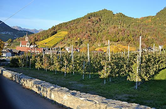 Sommersbergerhof - Elenco Photo