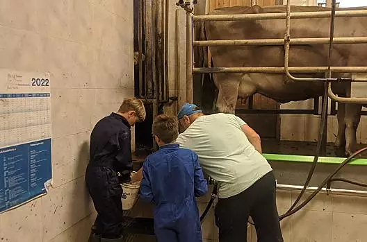 Hulp bij het melken.