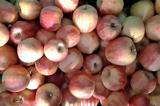 Rubens-appels
