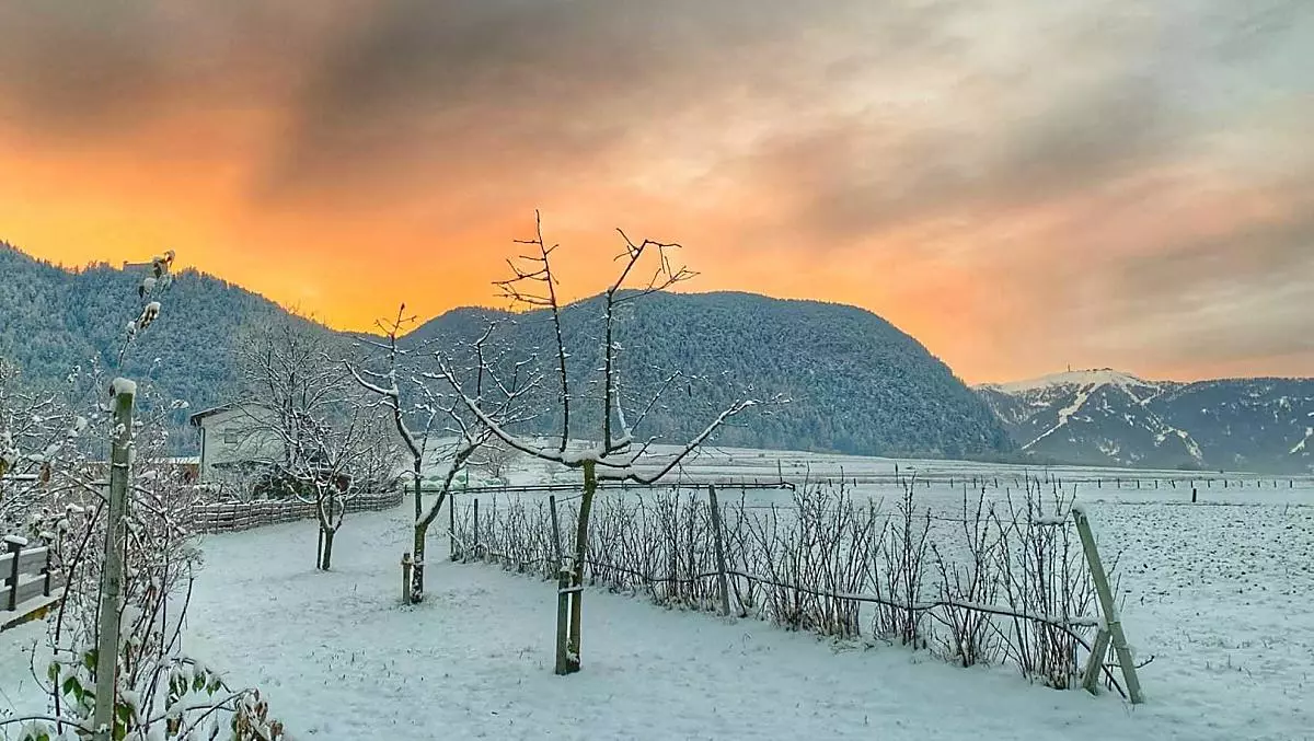 Wintersfeer