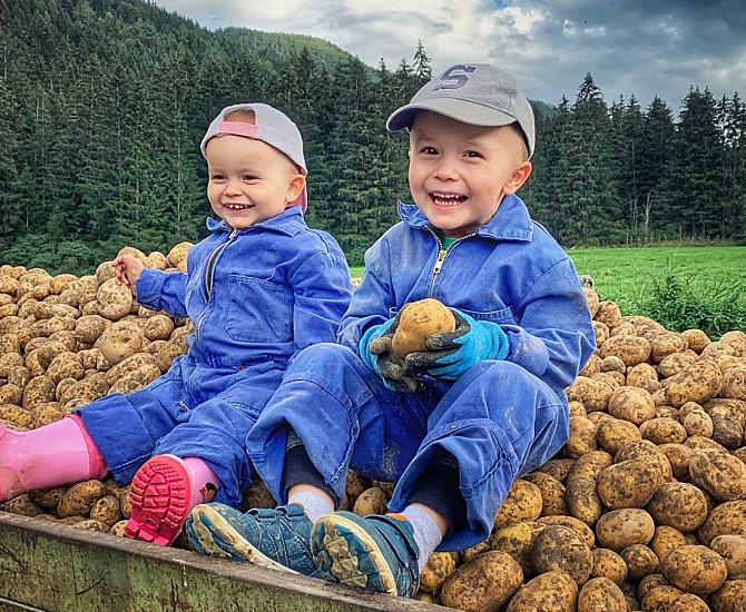 Vicky en Alex helpen vlijtig mee bij de aardappeloogst.