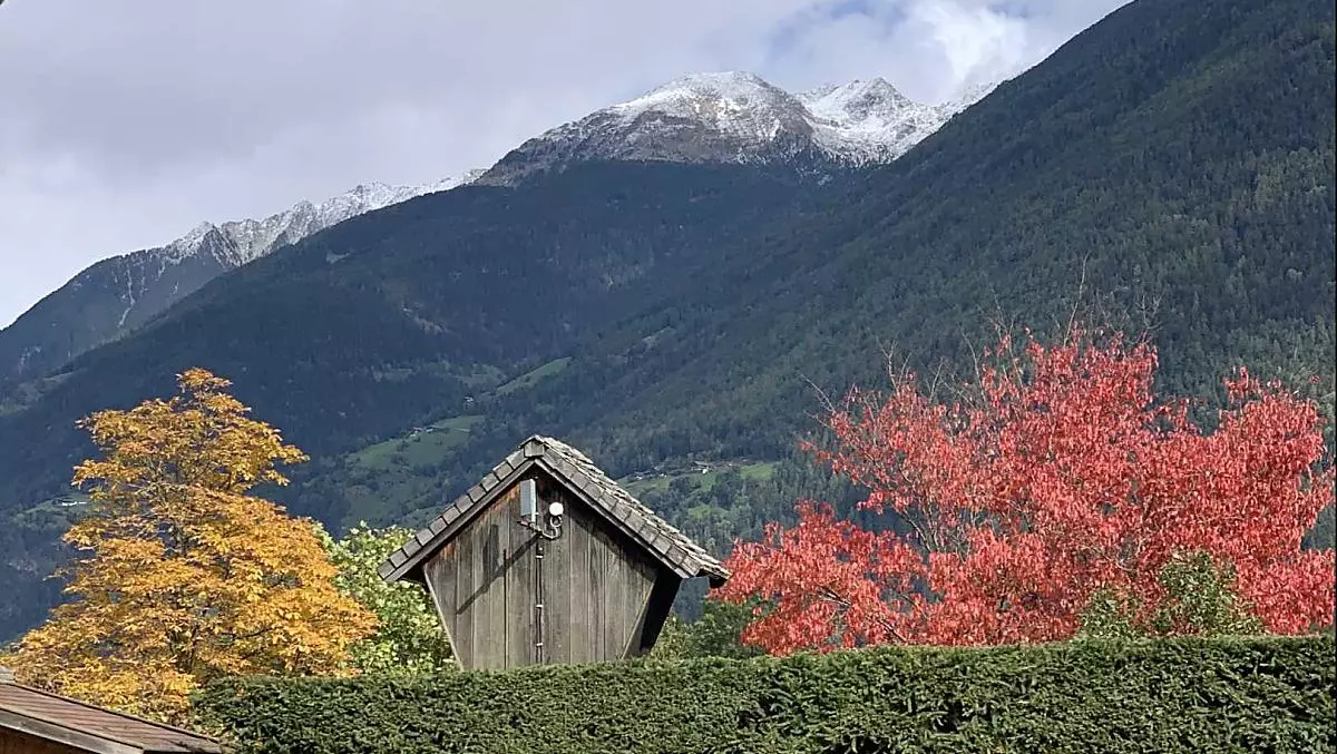 Bomen in de herfst op de Winklerhof